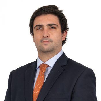 joaquixxn-merino-color-perfil