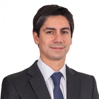 tomas-rosemary-color-perfil